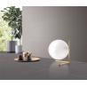 Buy cheap Modern Tile And Outdoor Wall 30x60cm Porcelain Full Body Tiles For Hotel And Dining Room from wholesalers