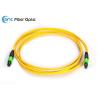 Buy cheap Ribbon Fiber Optic Cable Types SM OM3 12 Fiber MPO Female To MPO Female from wholesalers