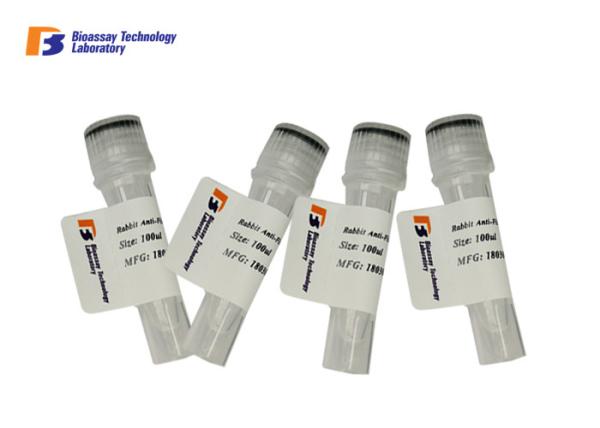 Buy cheap Anti HDAC1 Mouse Monoclonal Antibody Affinity - Purified from Mouse Ascites from wholesalers