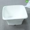 Buy cheap Eco-Friendly Square Sugarcane Pulp Takeaway Container With PET Dome Lid -Compostable Disposable Foodservice Products from wholesalers