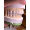 Buy cheap Customized Digital Diagnostic Wax Ups for Natural Tooth Anatomy Replication from wholesalers