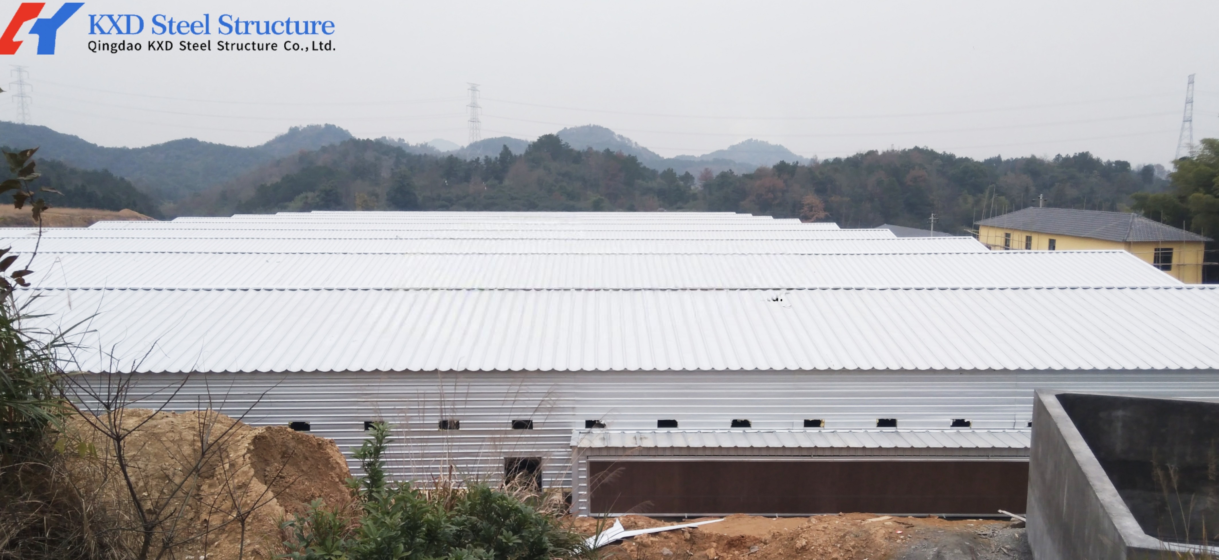 Steel Structure Poultry House Broiler Shed with Automatic Equipment