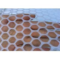 Buy cheap Green Flat 10X10mm Hdpe Plastic Netting Mesh In Breed Fishing product