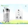 Buy cheap Non-Invasive Slimming Treatme Fat Freezing Cryolipolysis Vaccum Slimming Machine from wholesalers
