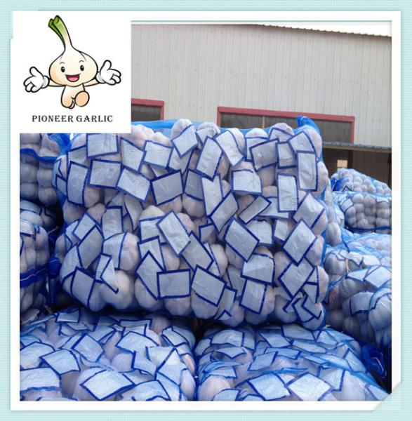 Buy cheap garlic fresh garlic 500G*20bag white garlic china supplier chinese fresh garlic from wholesalers