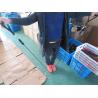 Buy cheap Gym Belt Set Quality Inspection QA Services AQL Standard from wholesalers