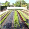 Buy cheap Anti Grass 20ft HDPE Plastic Weed Mat 3.2oz Weed Barrier Ground Cover from wholesalers