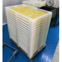 Buy cheap Food Grade PP Plastic Softgel Drying Tray For Fast Drying product