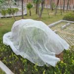 Non Toxic 9Gsm Agriculture Mulching Sheet 3.2m
