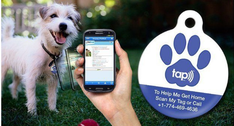 NFC Animal ID Tags RFID Pet Key Ring UV CMYK Printing With 213 215 Chip