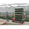 Buy cheap W555mm Horticultural Danish Trolleys , 4 Posts Plant Stand Rack from wholesalers