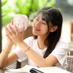 Mist Mini Portable USB Fan , Mini USB Rechargeable Fan Beauty Skin Strong Wind