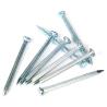 Buy cheap Silver White Grooved Shank Concrete Nails Factory 55# Steel Materials from wholesalers