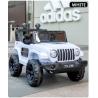 Buy cheap White Red Green Paint Black Or Paint Red 12V Ride On Electric Car For Kids from wholesalers