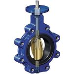 2 inch ductile iron fully Lug style type butterfly valve manufacturer