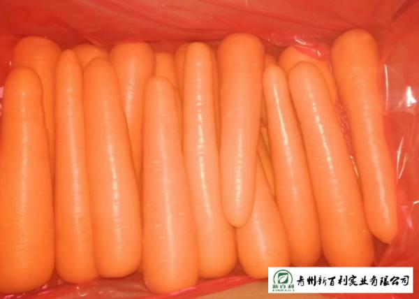 Buy cheap Smooth Surface Fresh Organic Carrots Suitable For Frying / Simmering / Mixing from wholesalers