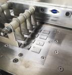 ZPW-4-4 ZPW-4-2 Automatic Pill Press For Herbal Compressed Biscuit 200 - 300kg