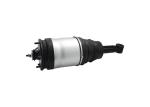 LR3 / 4 / Sport Land Rover Air Suspension Parts / Rear Air Suspension Shock