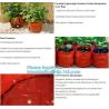 Buy cheap 1 gal 2 gal 3gal 5gal 10gal black plastic grow planting greenhouse vegetable nursery bags,garden plant growing bag, bage from wholesalers