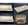 Buy cheap Waste Paper Egg Tray Machine , Egg Tray Manufacturing Unit 1300pcs/h Capacity from wholesalers
