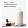 Buy cheap HOMEFISH PP Ceramic Aromatherapy Ultrasonic Aroma Humidifier 2.4MHz from wholesalers