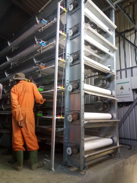 Buy cheap Healthy Galvanized Poultry Chicken Broiler Cage 1250 Type Frame from wholesalers