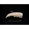 Buy cheap Precise Fit Full Zirconia Crowns , Highly Biocompatible Zirconia Crowns For Teeth from wholesalers