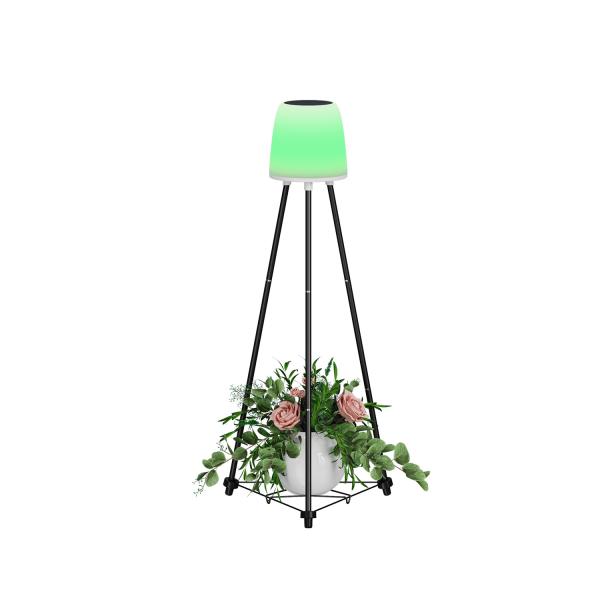 Buy cheap 0.2W Solar Christmas Decorative Lights 0.3kg Inner Box Size 22*20*40.5CM G.W 1.9KG from wholesalers