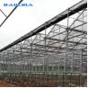 Buy cheap Venlo Commercial Multi Span Steel Structure Polycarbonate Sheet Greenhouse from wholesalers