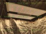 Indoor Gardening 650w Quantum 4x4 Led Grow Light