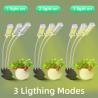 Buy cheap 12W 3Heads LED Clip Grow Light Dimmable Table Clip Lamp Full Spectrum from wholesalers