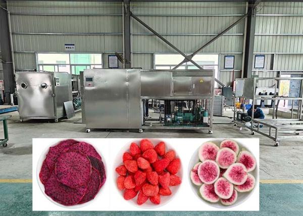 Buy cheap 38KW Electric Heating Defrosting Lyophilizer Freeze Dryer Machine from wholesalers