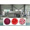Buy cheap 38KW Electric Heating Defrosting Lyophilizer Freeze Dryer Machine from wholesalers