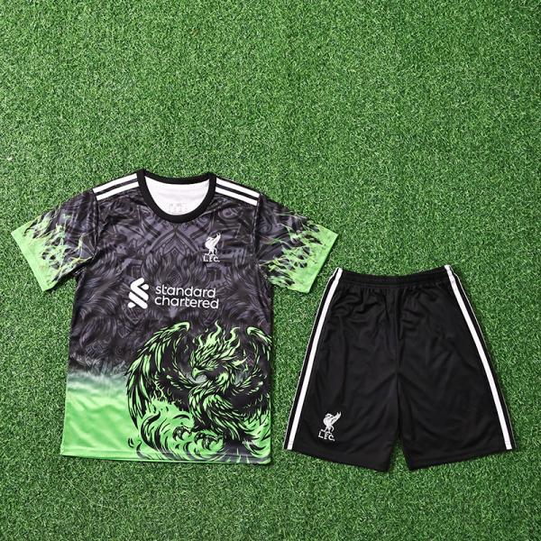 Buy cheap 2025-2026 Liverpool FC children special edition jersey support group customization from wholesalers