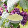 Buy cheap Enzymolysis Ph 4-6 Amino Acid Foliar Fertilizer Water Soluble Fertilizer Organic Nitrogen from wholesalers