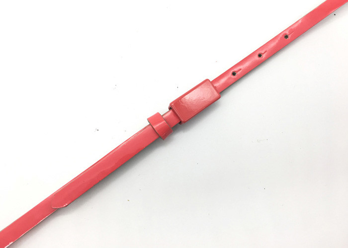 Ferrakiss Women 's Fashion Skinny PU Leather Belt 2/5”Wide Plaque Buckle BRACHI