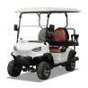 Buy cheap 25Mph-40Mph New Energy 2 Seater Golf Cart For Club Leisure Resort from wholesalers