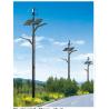 Buy cheap Steel Smart Solar Street Light 100w Save Energy IP65 Grade from wholesalers