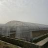 Buy cheap Dragon Fruit Cucumber 80 / 150 Micron Plastic Film Single Span Tunnel Plastic Greenhouse from wholesalers
