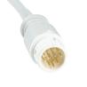 Buy cheap P-Hilips 12Pin 6+4 ECG Trunck Cable AAMI IEC ECG Patient Cable from wholesalers