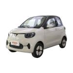 Electric Cars Electric Vehicle ConversionLittle Tiger FEV 2022 FOR-Two Little