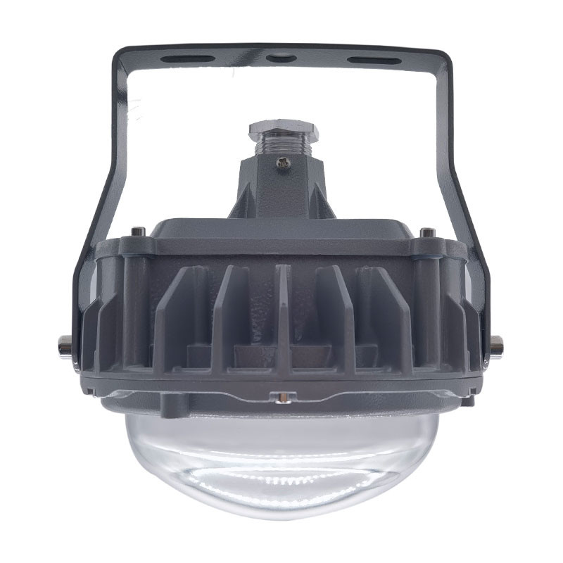 Energy Saving Flameproof Light Fittings Hazardous Light ODM