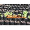 Buy cheap Hydroponic planter outdoor self watering plastic flower bag wholesale,Garden planter recycled plastic felt fabric plante from wholesalers