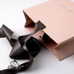 Custom Logo Matt Paper Clothing Packaging Gift Paper Bag With Ribbon Handle For