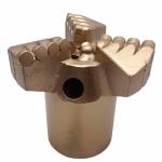 Mining PDC Diamond Drill Bit Non Coring For Water Well Drilling