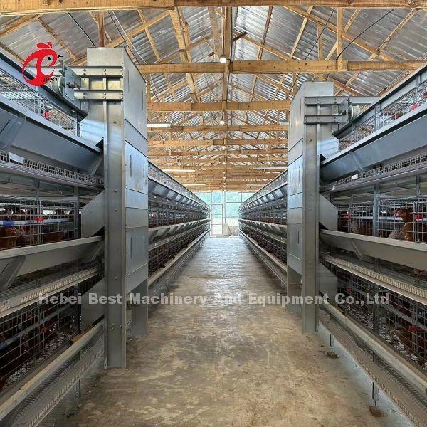Buy cheap Stacked Poultry 128 Birds Battery Type Breeding Cage Emily from wholesalers