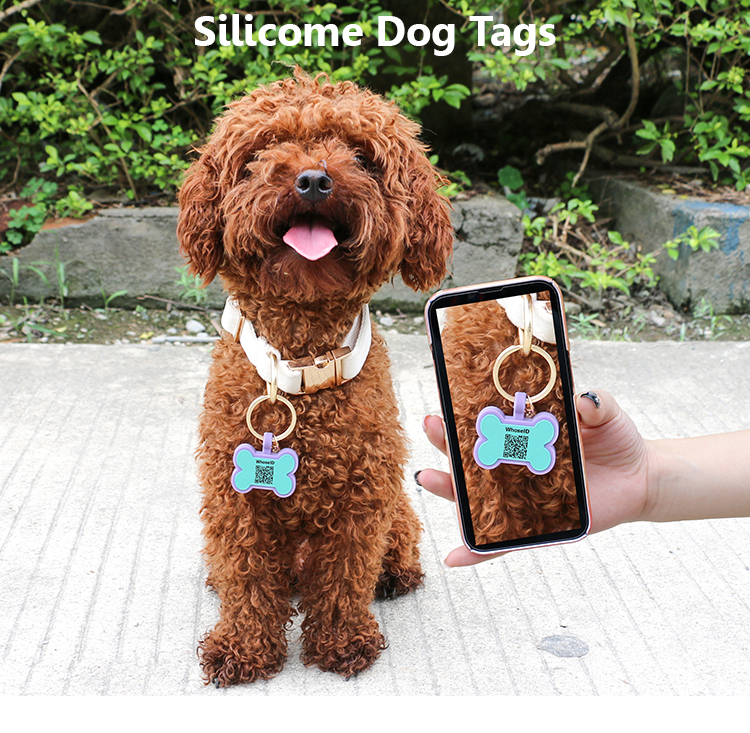 Wholesale low MOQ Cheap different shape many colors for options silicone blank dog tag name ID tag