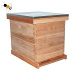 20mm Thickness Langstroth Beehive