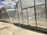 Advanced Ventilation And PC Board Drying Greenhouse For Vegetables And Herb