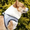 Buy cheap Pet Polyester Leash Breathable Mesh Harness For Dog Walking Small Dogs And Cats from wholesalers